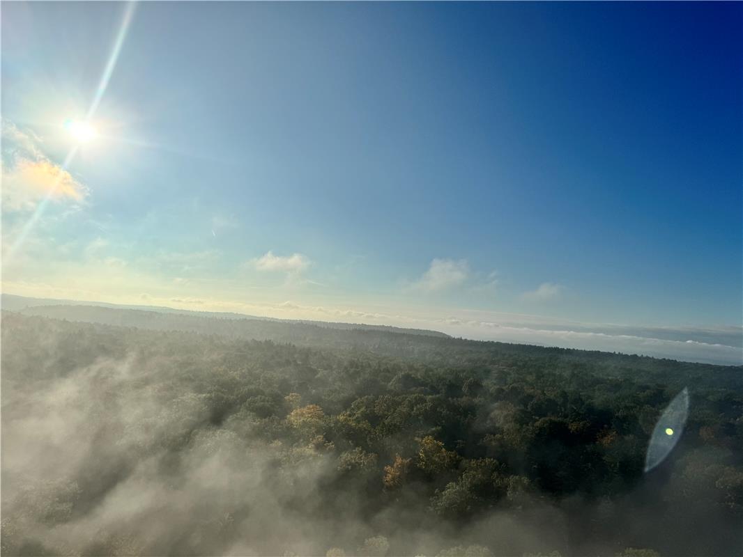 Morgenstimmung knapp über dem Nebel. Von Rainer Braitmaier aus Herrenberg.
