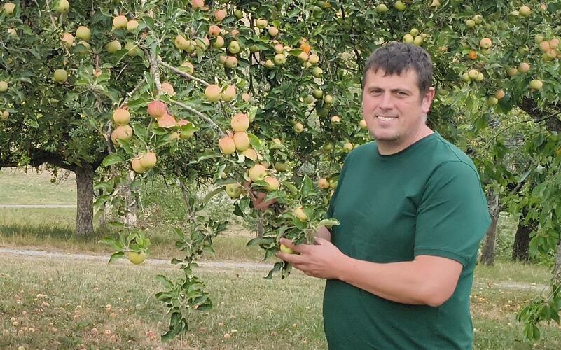 Moritz Maisch begutachtet seine Apfelbäume rund um Herrenberg: Viele Früchte liegen schon auf dem Boden.GB-Foto: Straub