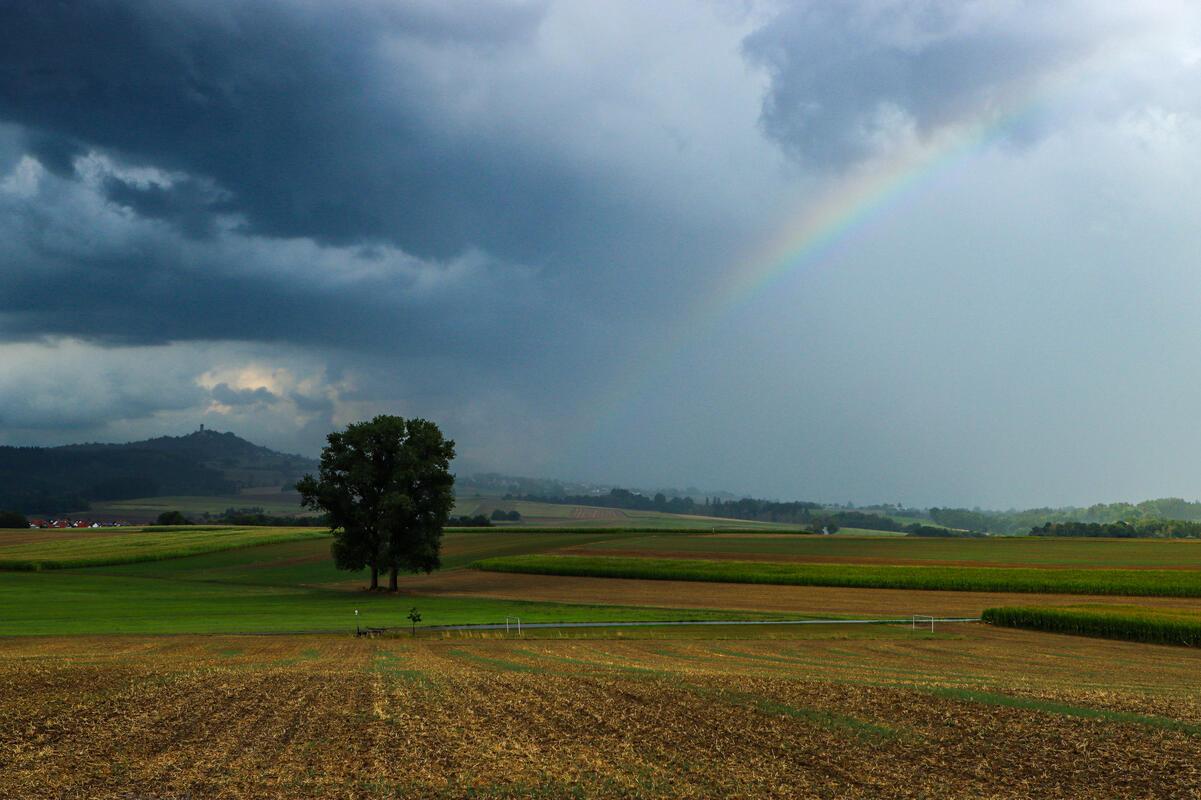 Nach dem Regen. Von Natalie Politz aus Hildrizhausen.