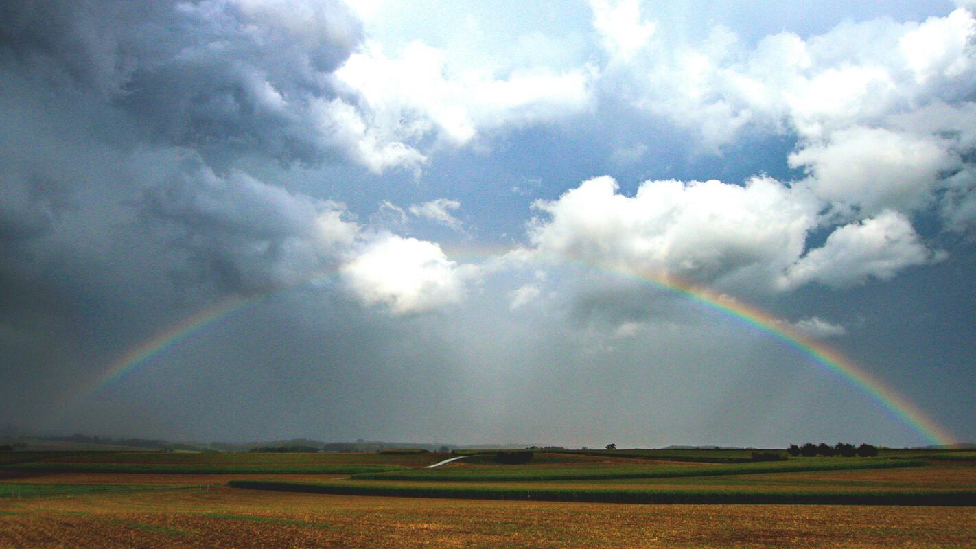 Nach dem Regen ...  Von Natalie Politz aus Hildrizhausen.
