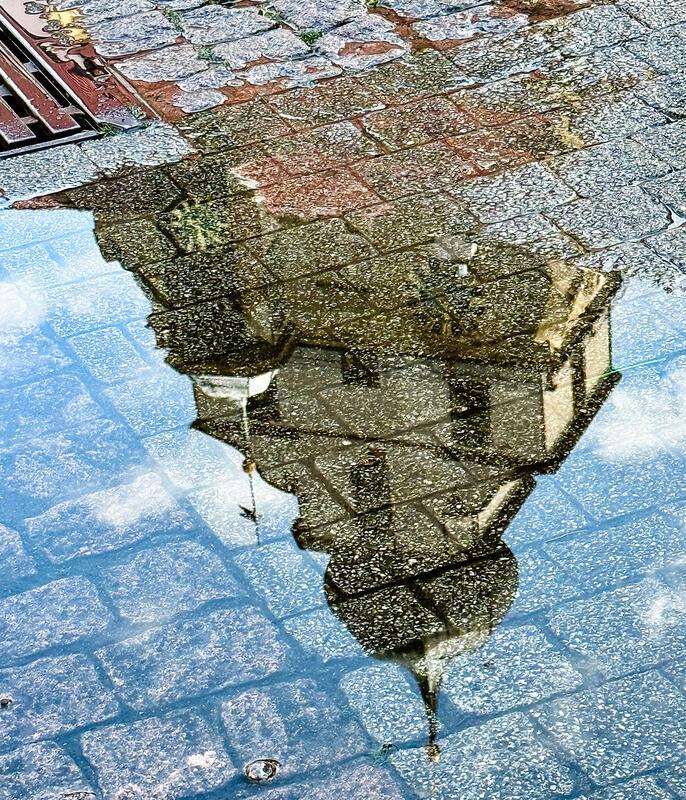 Nach einem heftigen Regenschauer kam die Sonne wieder hervor und bescherte mir d...