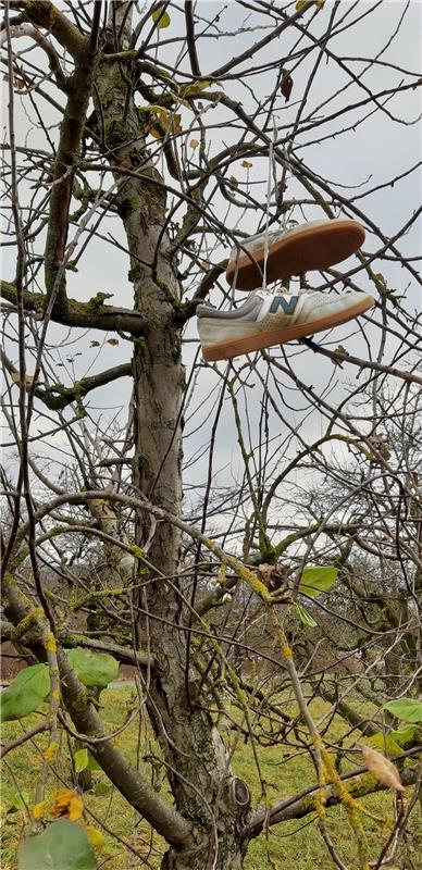 "Nanu, was wächst denn da auf dem Baum oder ist das etwa schon der Weihnachtssch...