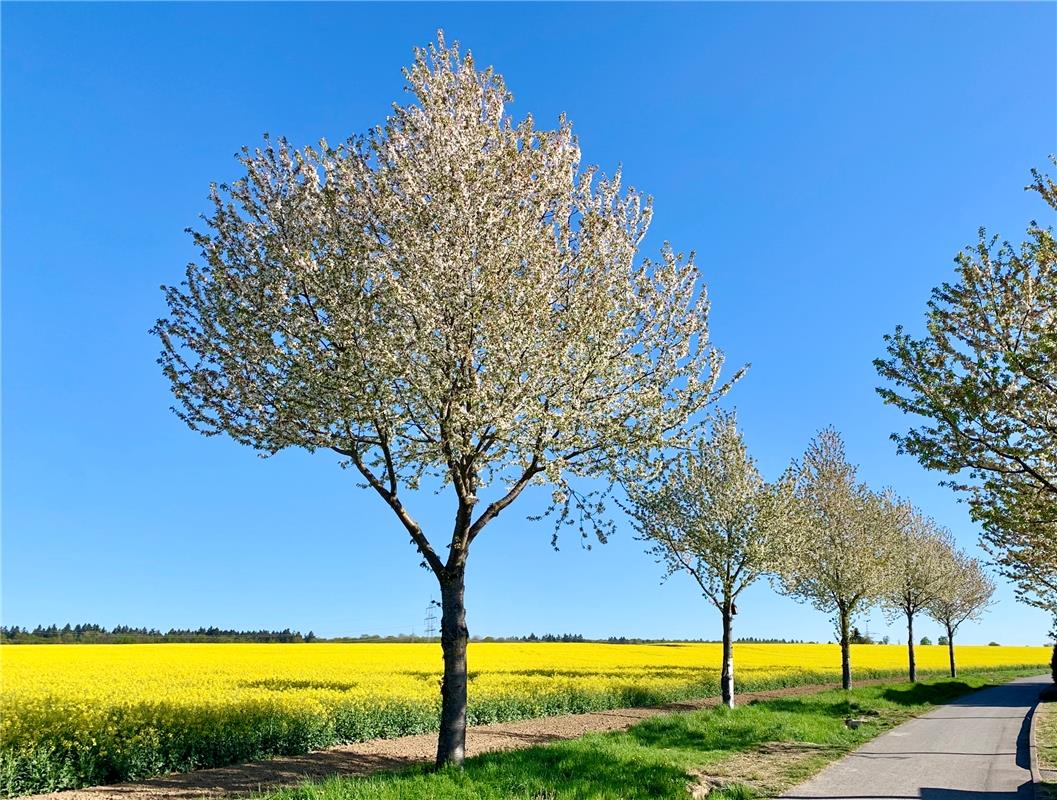 Naturdesign von seiner schönsten Sorte hat  Hilde Wieland in Gärtringen abgelich...