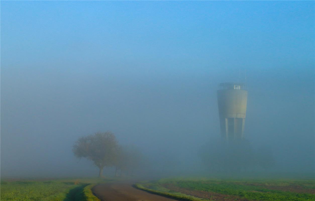 Nebel und Sonne in Altdorf.  Von Natalie Politz aus Hildrizhausen.