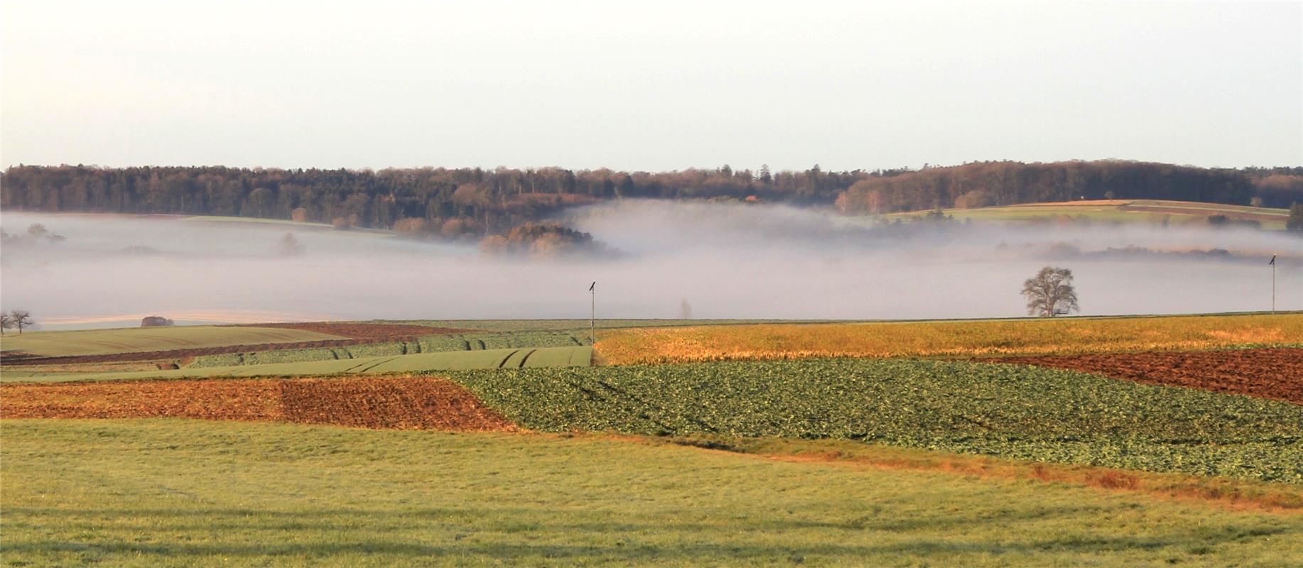 Nebel... Von Natalie Politz aus Hildrizhausen.