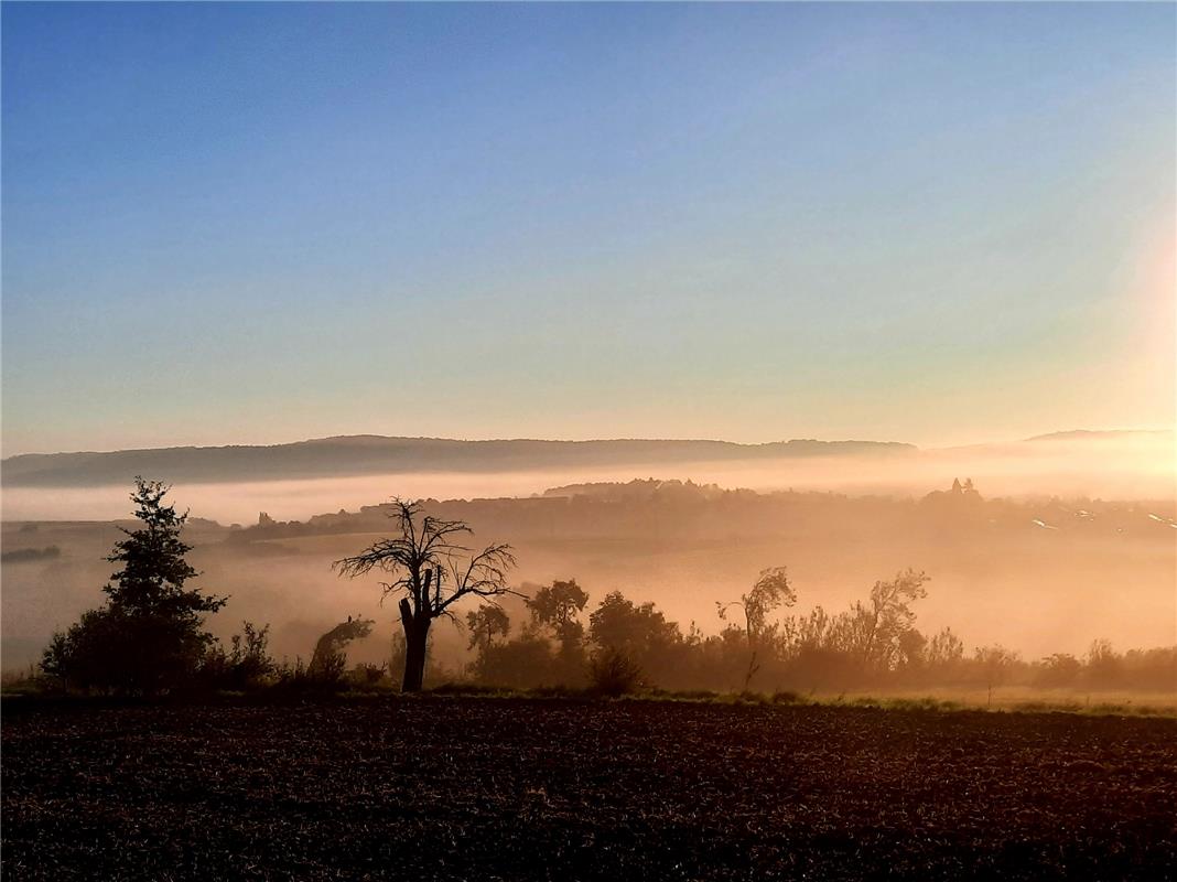 Nebelschwaden am Morgen vor Herrenberg, aufgezeichnet von Heiko Weiß beim Ackerm...