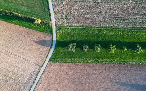 Nein, kein modernes Kunstwerk – nur ein Feldweg von oben (gesehen in Deckenpfronn) GB-Foto: Schmidt
