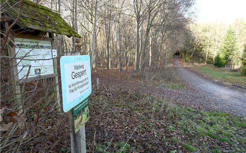 Nur 15 Prozent des Bondorfer Walds sind in Gemeindebesitz.GB-Foto: Holom