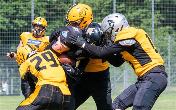 Nur selten bekamen die Bulldogs (gelb) einen „Bullen“ so zu fassen. GB-Foto: Vecsey