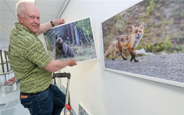 Ob Bär oder Fuchs: Jürgen Metz versucht, die Tiere in ein möglichst gutes Licht zu rücken. GB-Foto: Vecsey