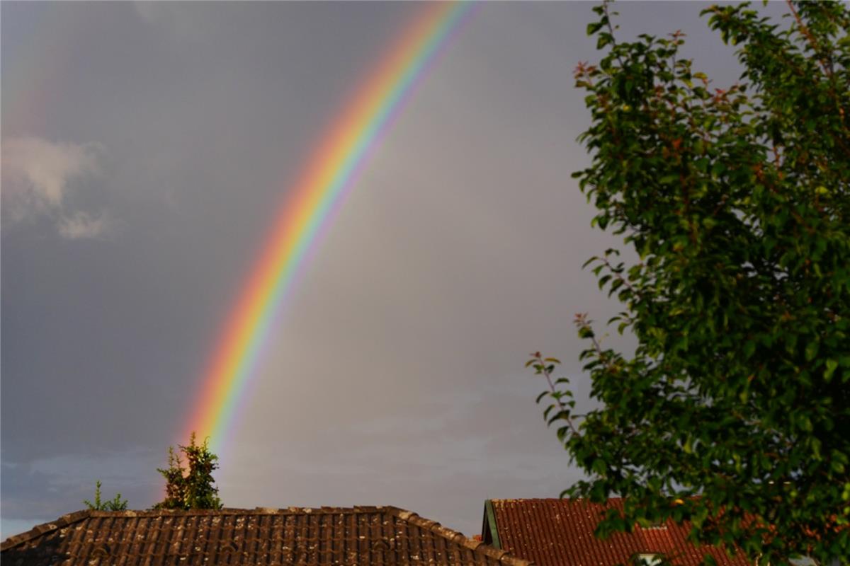 Ob wohl am Fuß des Baumes vor dem Haus ein Schatz vergraben ist, so kräftig, wie...