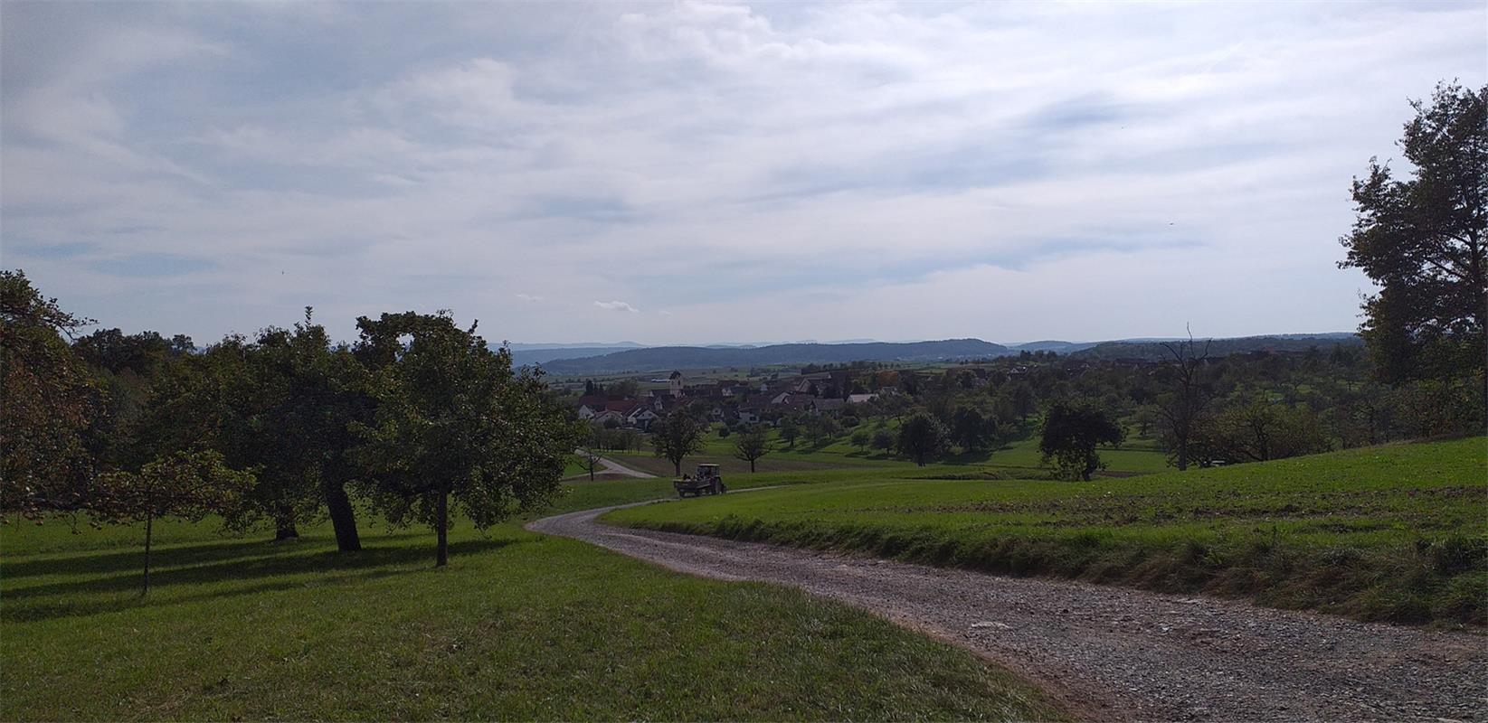 Obsternte in Breitenholz - mit dem Schlepper von Wiese zu Wiese. Die Bondorferin...