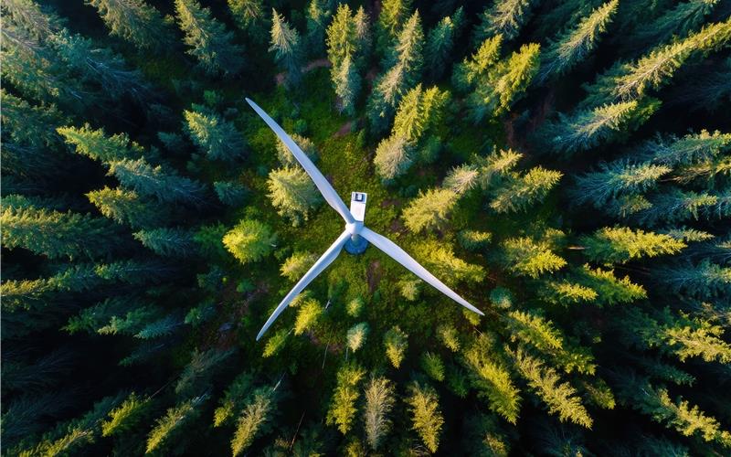Oft umstritten: Windkraftanlagen im Wald.GB-Symbolfoto Sofia/stock.adobe.com