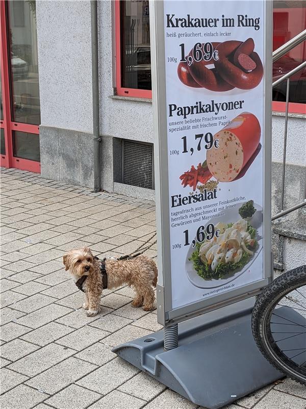 Oh Mann, habe ich Hunger!  Von Friedlind Porten aus Gärtringen.