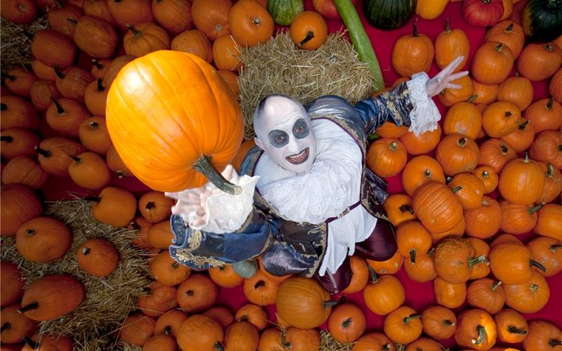 Ohne Grusel geht an Halloween nichts. GB-Foto: Europapark