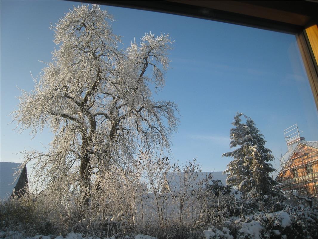 Onser Winter-Wonder-Ländle... Von Frank Winter aus Gäufelden-Nebringen.