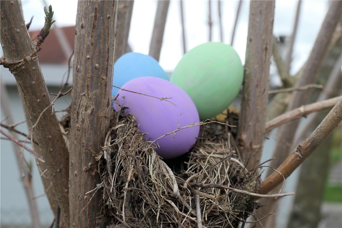 Ostern im Vogelnest. Von Monika Petersen aus Gärtringen.