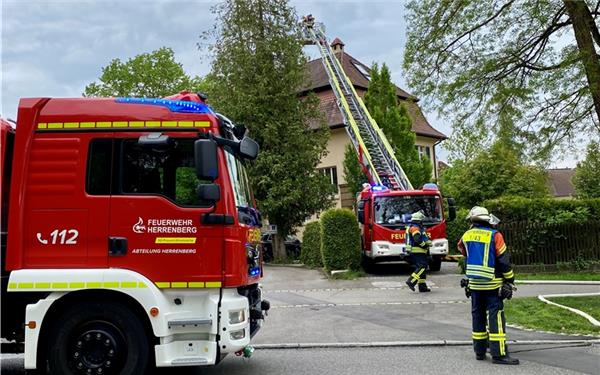 Per Drehleiter machte sich die Feuerwehr ein Bild über den möglichen Kaminbrand. GB-Fotos: gb