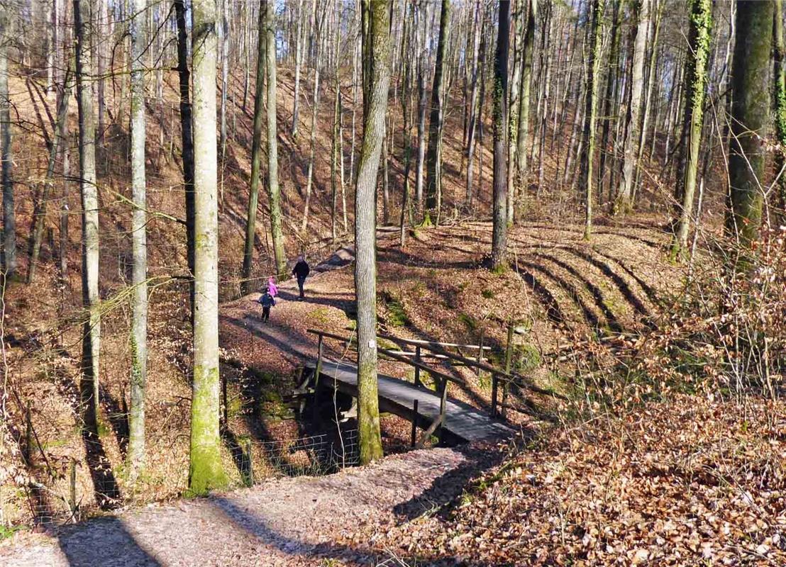 Peter Tolksdorff aus Herrenberg erklärt den Stadtwald am Kalten Bronnen zur coro...