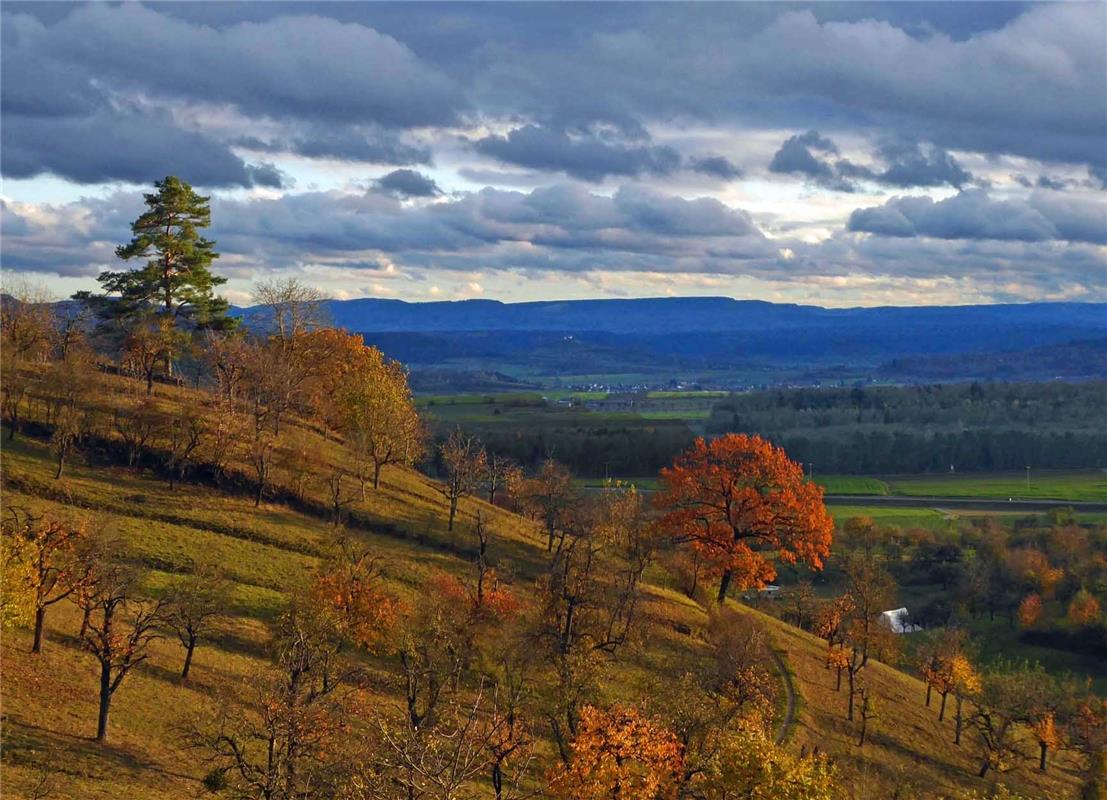 Peter Tolksdorfff aus Herrenberg  war auf dem  Panoramaweg zwischen Kayh und Bre...