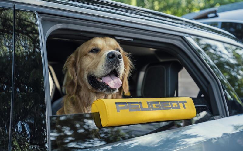 Peugeot Konzeptfahrzeug – der E-5008 Dog Edition:Das Design orientiert sich an den Bedürfnissen von Hunden.GB-Foto:William Crozes