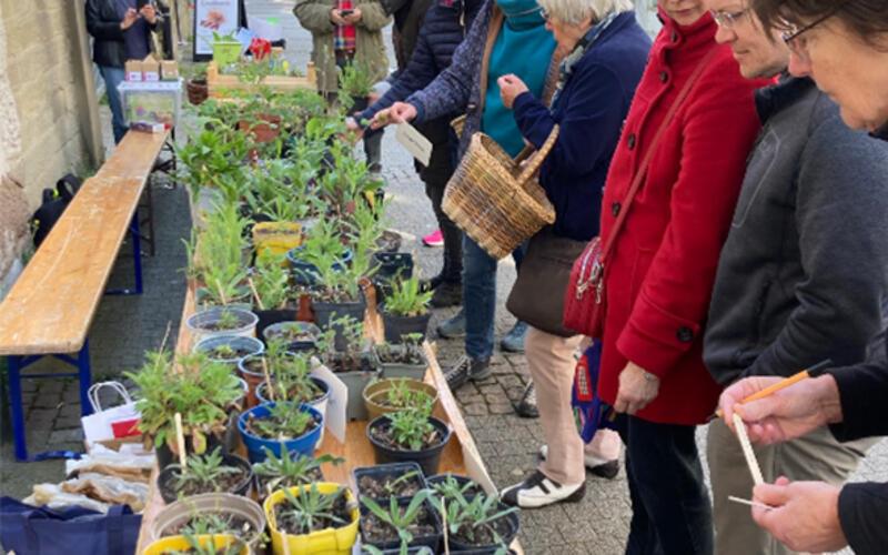 Pflanzen suchten vor dem Klosterhof neue Besitzer. GB-Foto: Susanne Orlich