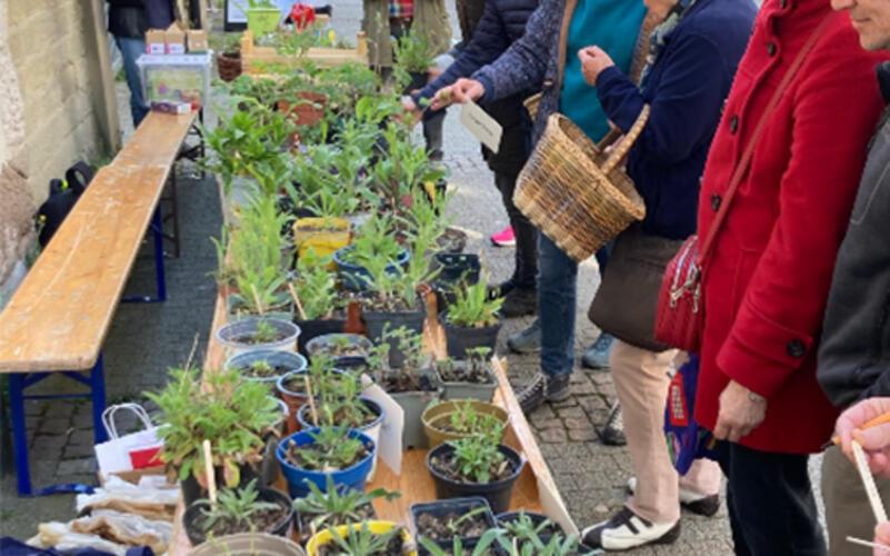 Pflanzen suchten vor dem Klosterhof neue Besitzer. GB-Foto: Susanne Orlich