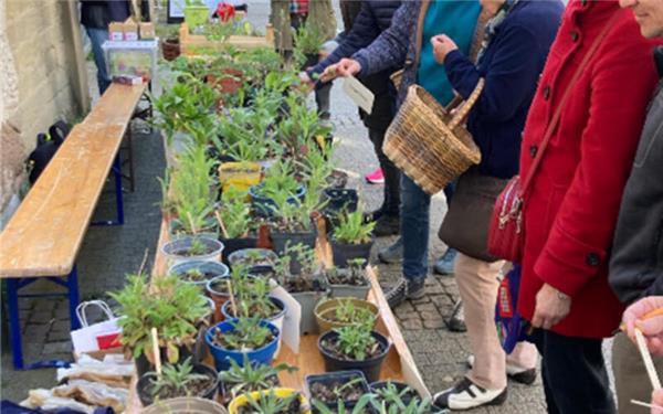 Pflanzen suchten vor dem Klosterhof neue Besitzer. GB-Foto: Susanne Orlich