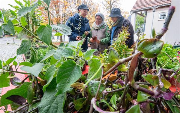 Pflanzen tauschen ließ sich wieder mal bei der Bürgerhalle – auch wenn der Regen manchen Besuch verhagelte. GB-Foto: Vecsey