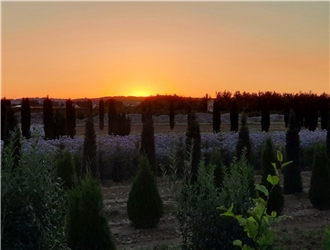 Schöner mediterraner Sonnenuntergang. 
Von Heiko Weiß aus Gäufelden.