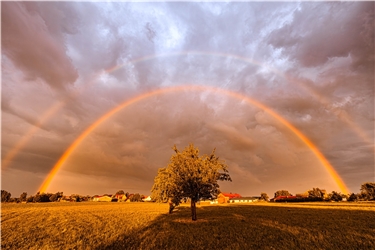 (für insta verwendet) erschienen Sindlingen, das Dorf unterm Regenbogen. Von Sonja Sayer aus Jettingen.