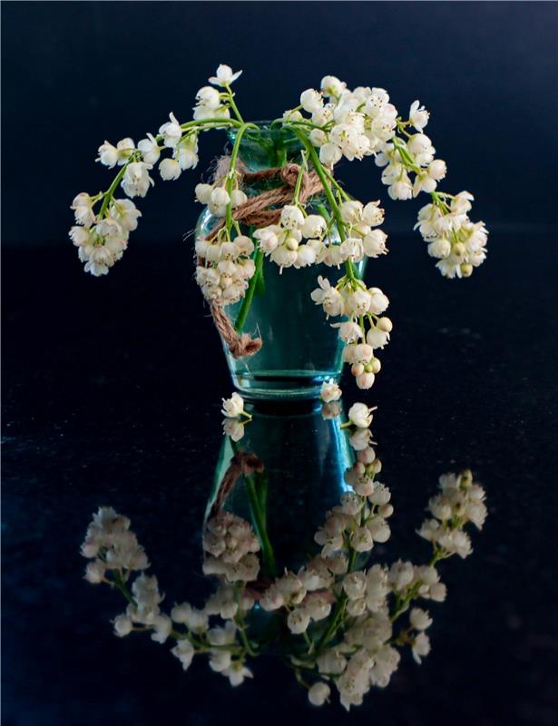 Pimpernuss in der Vase.  Von Natalie Politz aus Hildrizhausen.