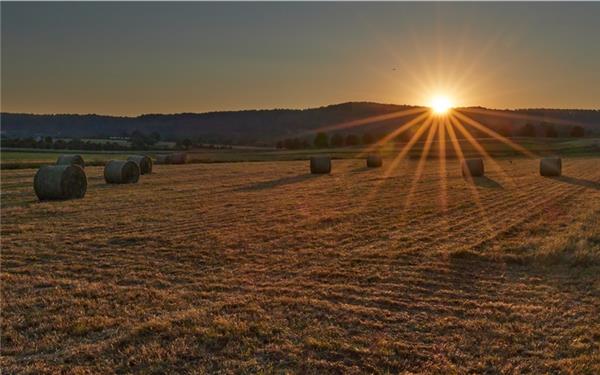 Prinzen-Stimmung im Gäu