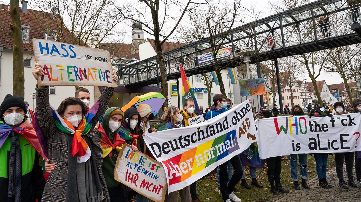 Protest - AfD-Kundgebung mit Alice Weidel und Gegendemos rund um die Stadthalle ...