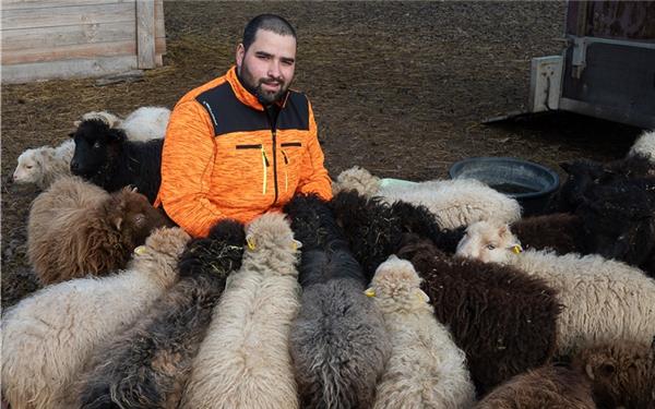 Raphael Bouzenade, hier mit seinen Ouessant-Schafen in Reusten. GB-Foto: Schmidt