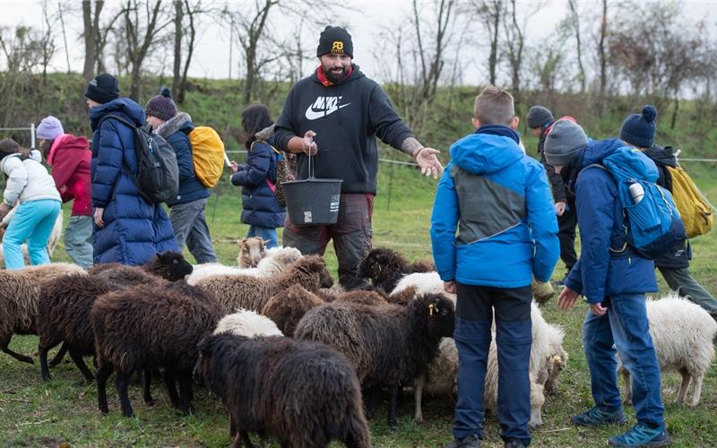 Raphael Bouzenade und sein Besuch bei seinen Tieren auf der Weide. GB-Foto: Vecsey