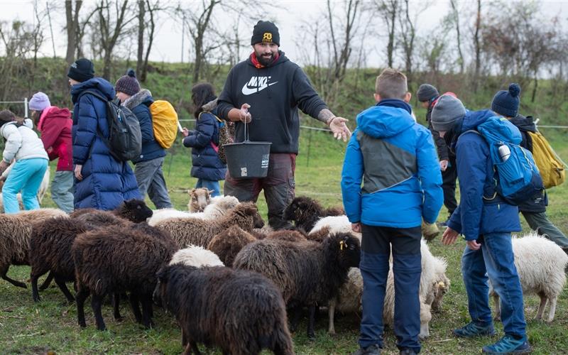 Raphael Bouzenade und sein Besuch bei seinen Tieren auf der Weide. GB-Foto: Vecsey