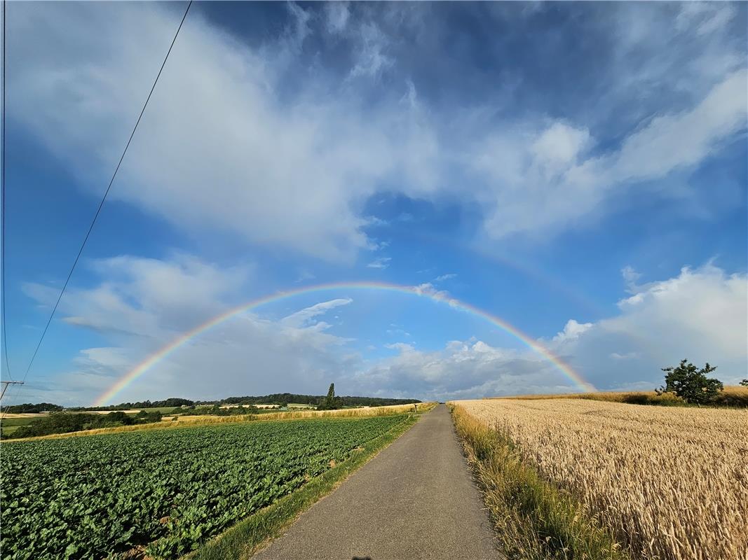 Regenbogen über dem Kuppinger Wald. Von Eva Althoff-Nüßle aus Herrenberg.