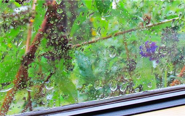 Regentropfen, die an mein Fenster klopfen (aufgenommen von Frank Winter aus Nebringen)