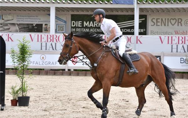 Robert Schwarzkopf (Herrenberg) und Castor Troy haben am Sonntag erstmals ein S-Springen gewonnen. GB-Foto: Häusler