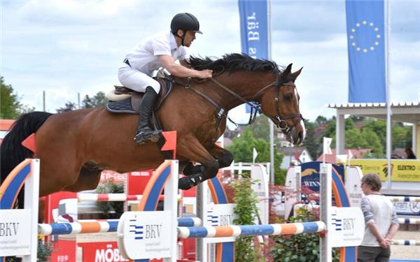 Robert Schwarzkopf aus Herrenberg wird auf Castor Troy Vierter im Großen Preis von Ehningen. GB-Foto: Häusler