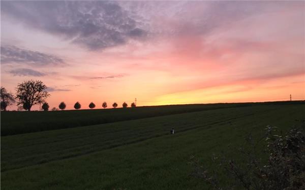 Rohrauer Abendromantik