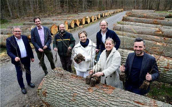 Round Table pflanzt 200 junge Eichen im Naturpark Schönbuch