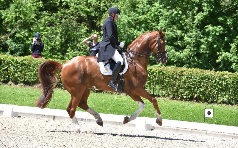 Routinier Hans-Peter Bauer (59/TV RG Gültstein) und Dynamico landen in Jettingens S-Dressur an dritter Stelle. GB-Foto: Häusler