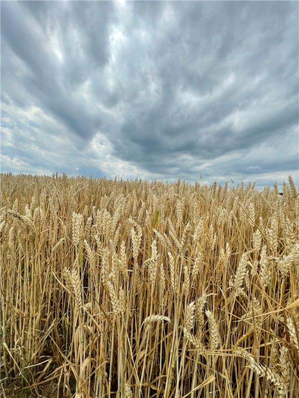 Ruhe vor dem Sturm in Affstätt. Von Carolin Nüßle aus Herrenberg.