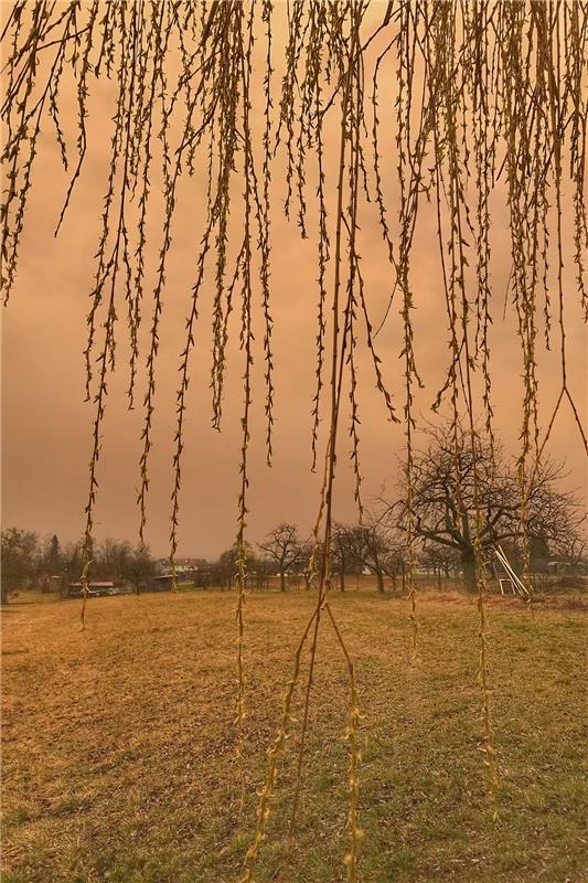 Saharastaub färbt den Himmel über dem Gäu rötlich. Von Anja Schnotz aus Gäufelde...