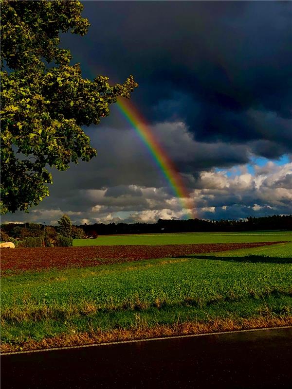 Satte Farben hat dieser Regenbogen, den Eckbert Kaiser aus Tailfingen eingefange...