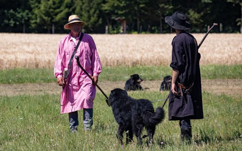 Schäfer Herbert Schaible aus Dachtel (links) hebt sich ab unter seinen Berufsgenossen, die am Schäferlauf in Wildberg teilnehmen. GB-Foto: gb