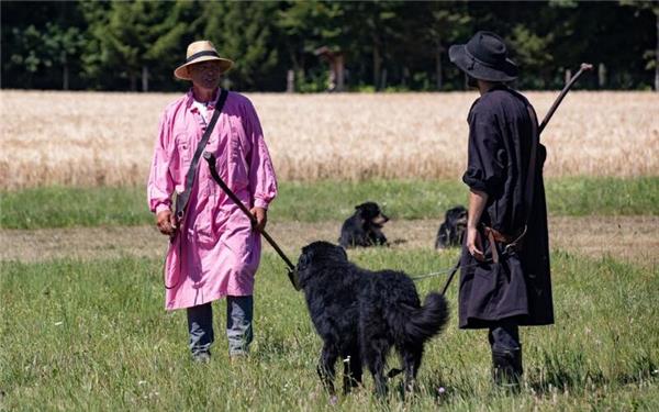 Schäfer Herbert Schaible aus Dachtel (links) hebt sich ab unter seinen Berufsgenossen, die am Schäferlauf in Wildberg teilnehmen. GB-Foto: gb