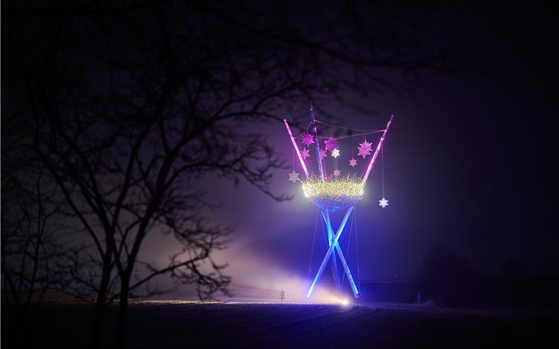 Schneeflocken am Vogelnest sollen den Winter herbeilocken